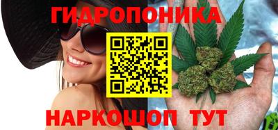 гидра Моздок