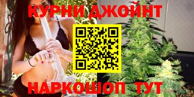 дживик Можга