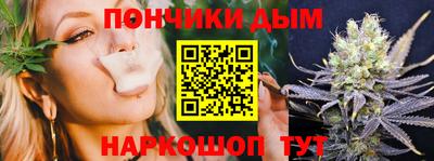 гидра Моздок