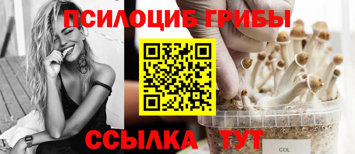 Псилоцибиновые грибы мицелий  Галлюциногенные грибы прущие грибы  Вход с VPN  Шатура 