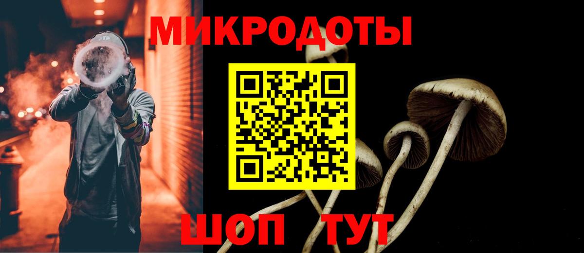 Псилоцибиновые грибы прущие грибы Шатура